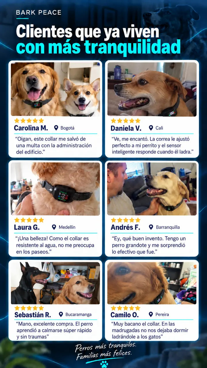 Testimonios reales de dueños
