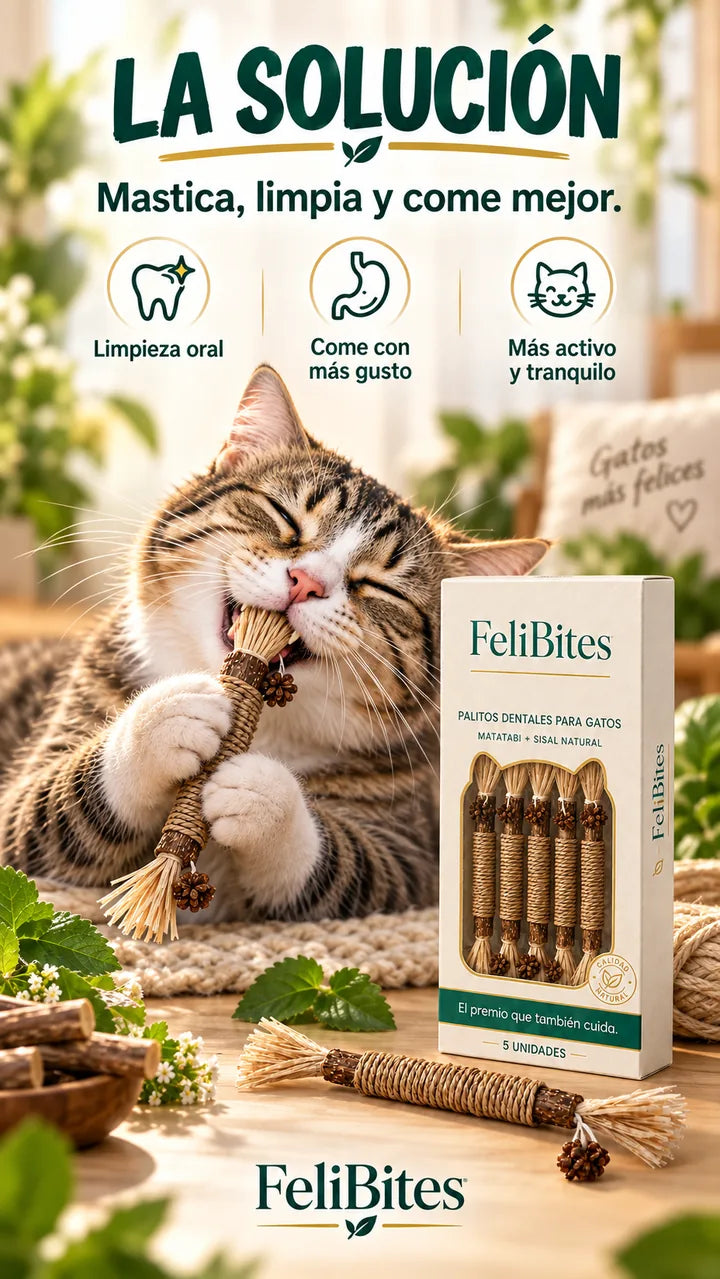 La solución — palitos dentales naturales