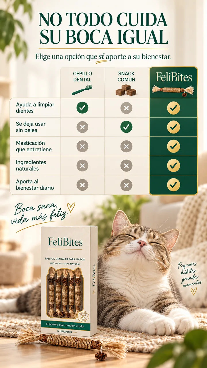FeliBites vs alternativas