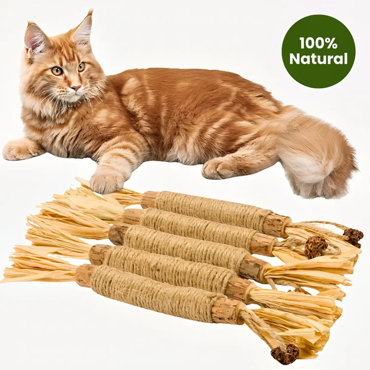 FeliBites — Gato pelirrojo con kit de 5 palitos 100% natural