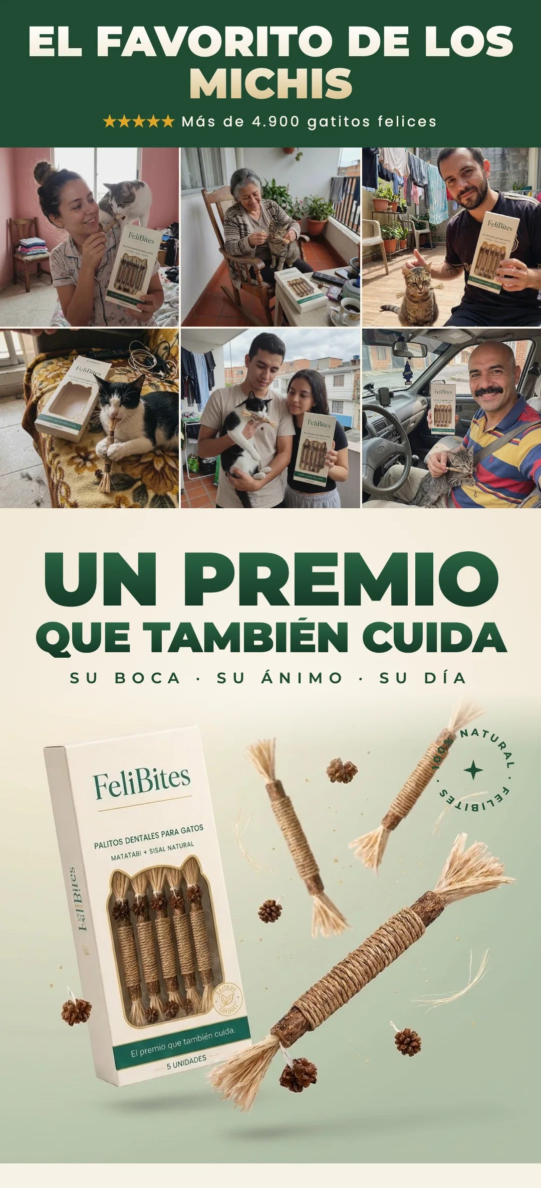 El favorito de los michis — +4.900 gatitos felices