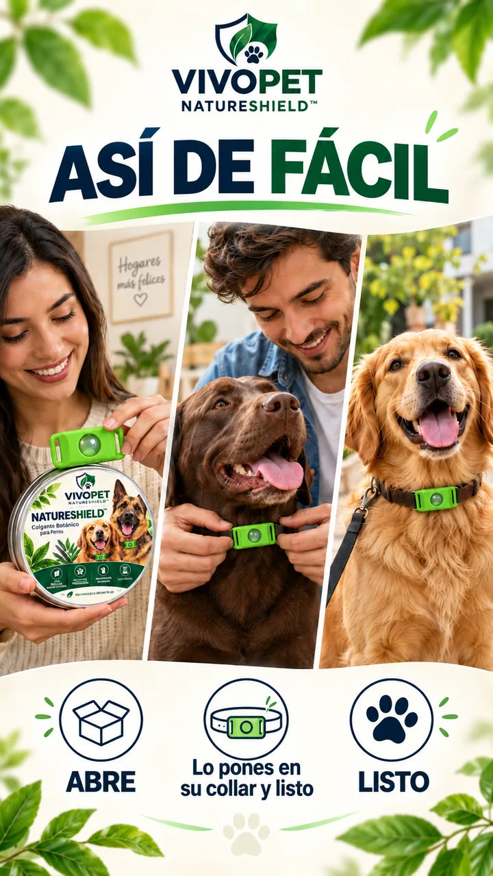 Uso real — NatureShield en tu perro