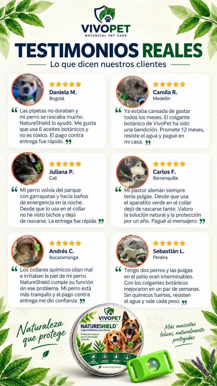 Testimonios reales de dueños