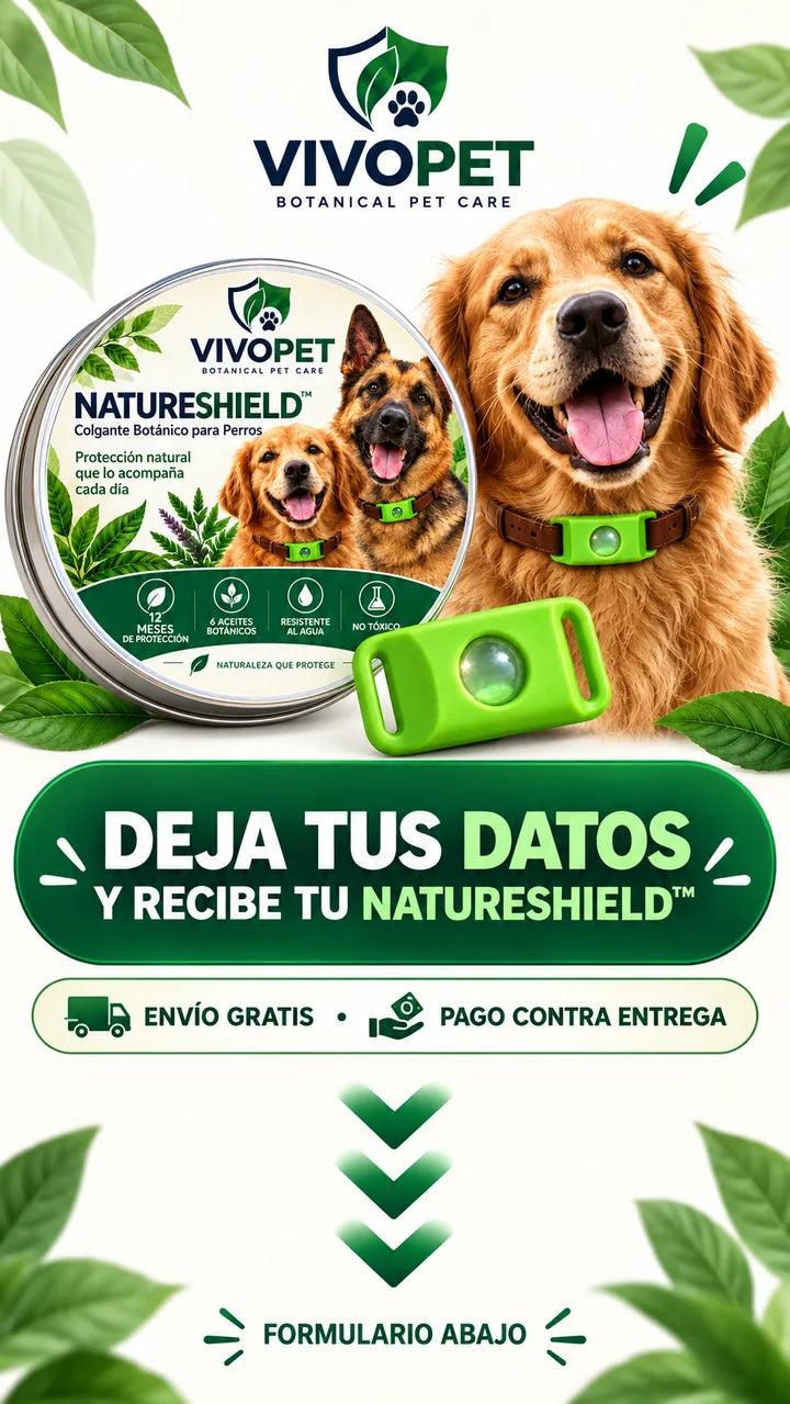 Barra dirección al formulario